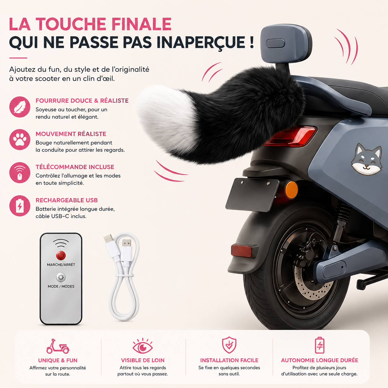 queue de renard